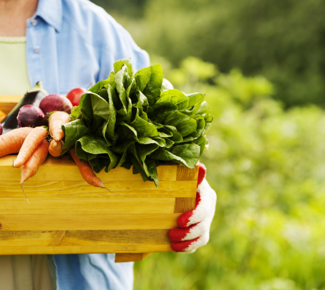 De plus en plus de choix pour manger durable à Bruxelles