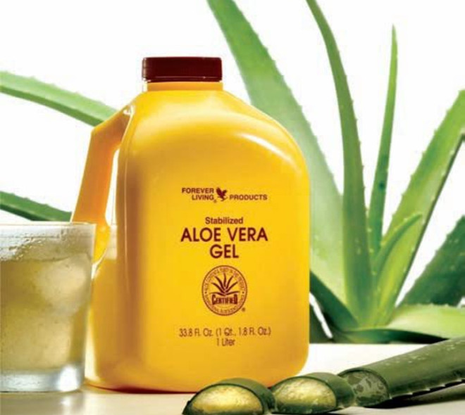 L'aloe vera, la plante aux multiples bienfaits