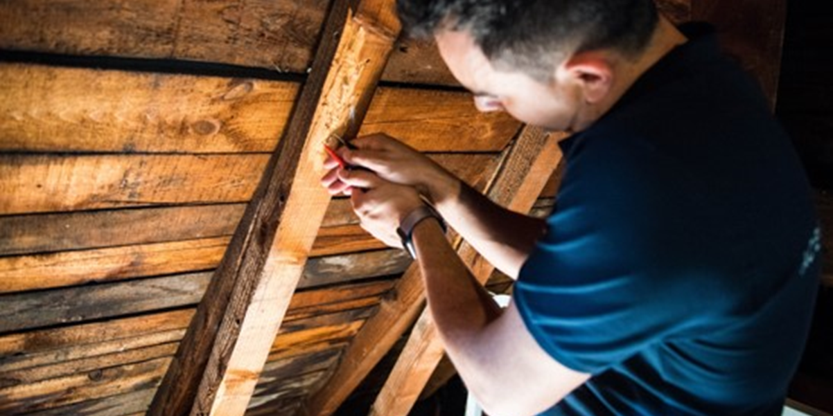 Domaine TERMITES Métropole (Initial - 4 Jrs) - ASE FORMATION