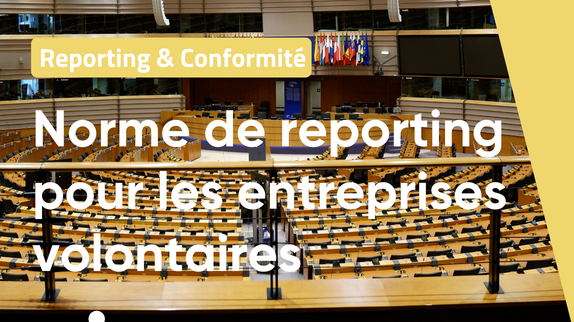 EcoLearn - Norme de reporting pour les entreprises volontaires - EcoLearn