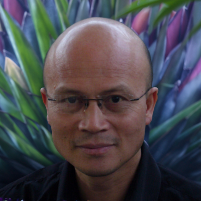 PHAM QUANG Long