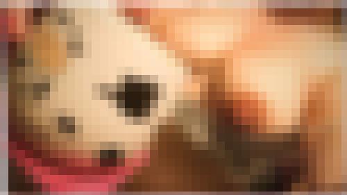 Foto de PrincessGwen en Un doux réveil