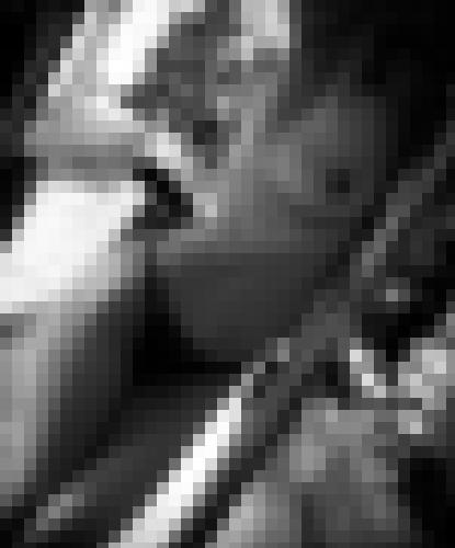 Foto de Lady Bird en Je montre mes seins