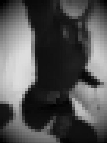 Foto de Lady Bird en Provocation