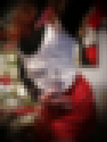 Foto de Lady Bird en Abierto a todos