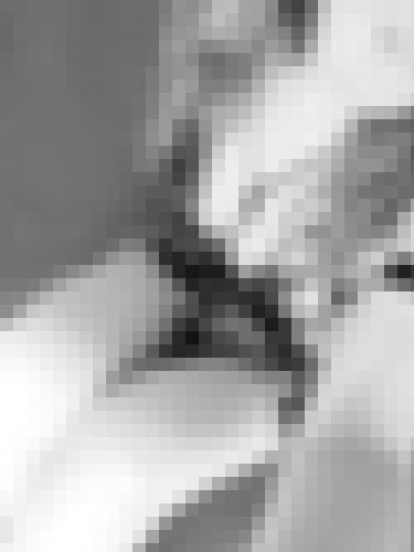 Foto de MissVictoire en Photo sage