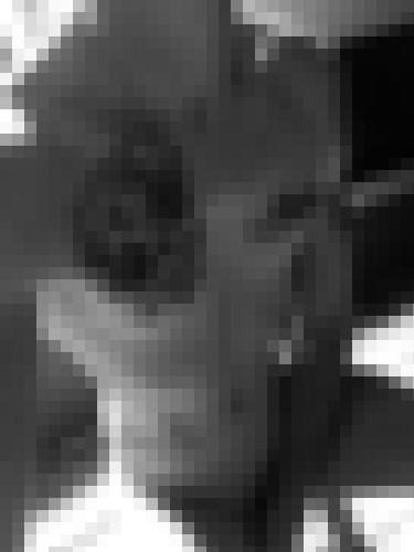 Photo from Hedon into Je montre mon torse