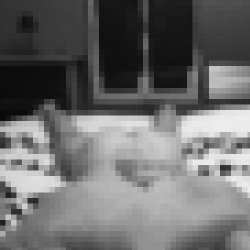 Photo from Hedon into Un doux réveil