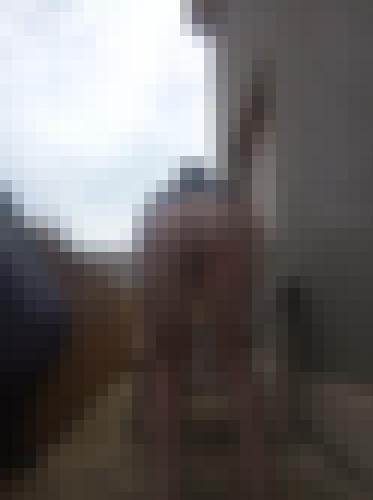Photo from Feeldoe into Je montre mes fesses