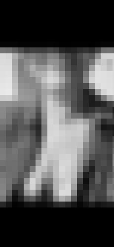 Foto de Mag01 en Photo sage