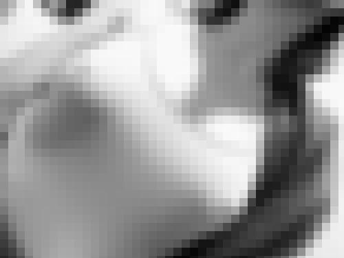 Photo from Libel into Tous au sport !