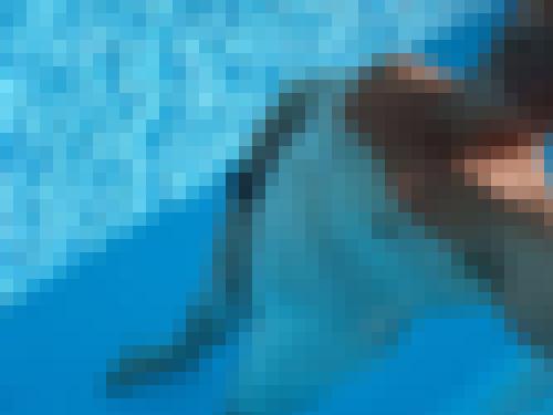 Photo from philosophe into A la piscine
