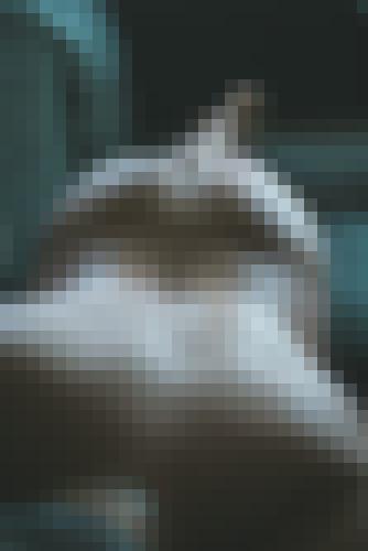 Photo from Graou74 into Je montre mes fesses