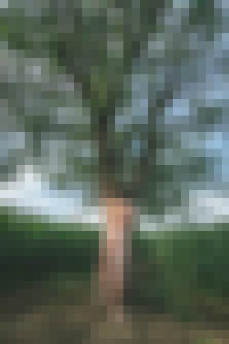 Photo from Graou74 into Nature et Soleil