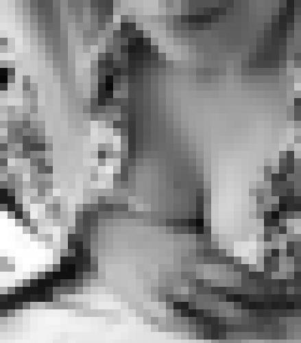 Photo from Miss_noname11 into Au travail