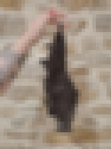 Foto de Nanou8 en Je montre mes sous-vêtements