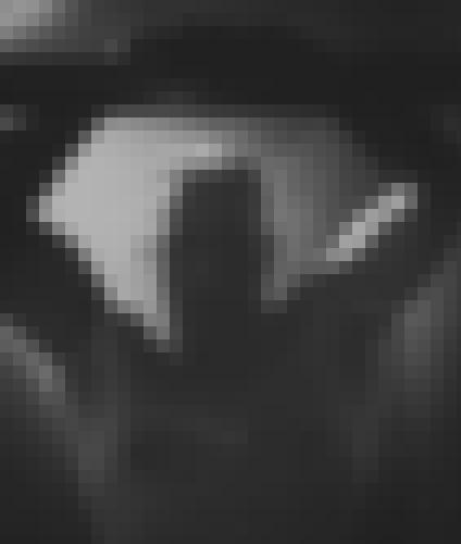 Foto de TRISTAN69 en Sous la douche