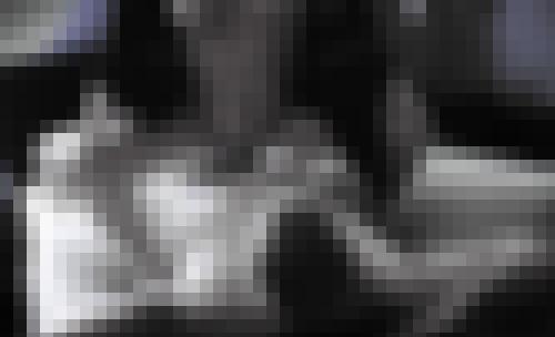 Foto de TRISTAN69 en Kamasutra: Amazone