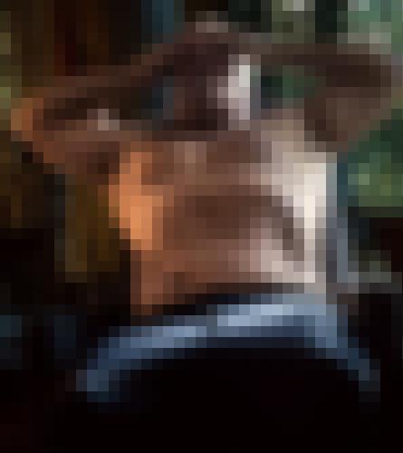 Foto de TRISTAN69 en A contre-jour