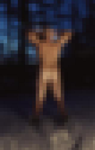 Foto de TRISTAN69 en Murmures d'automne