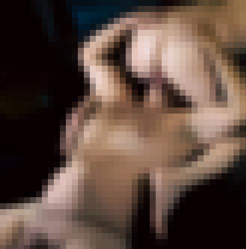 Photo from TRISTAN69 into Avec ma langue je ...