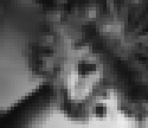 Foto de Fabin en Un détail ...