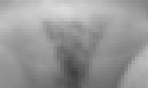 Foto de lilhefner en Dans la salle de bain