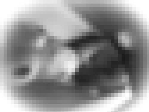 Photo from lilhefner into Dans mon bain