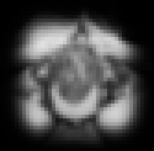 Foto de lilhefner en Avec ma langue je ...