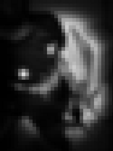 Foto de lilhefner en VSC