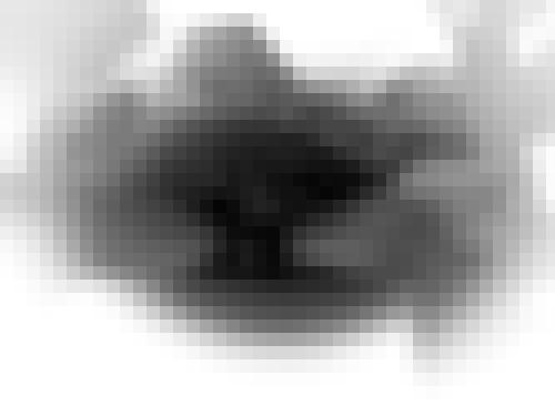 Photo from lilhefner into Un détail ...