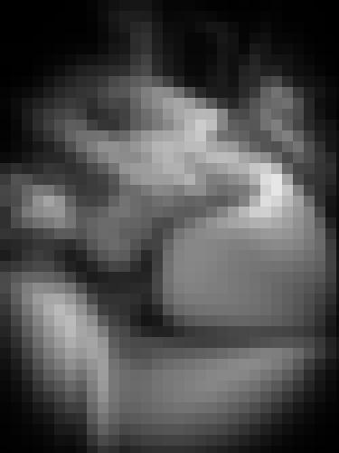 Photo from lilhefner into En levrette