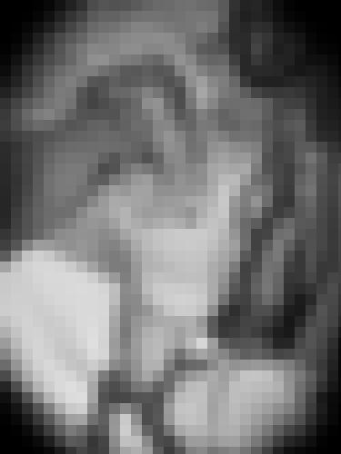 Foto de lilhefner en Sous la douche