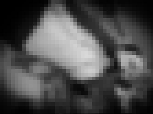 Photo from lilhefner into VSC