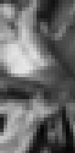 Photo from lilhefner into Sous la pluie