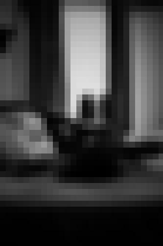 Foto de Tijo75 en A contre-jour