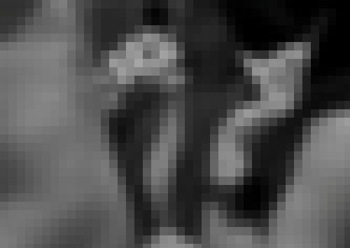 Photo from Tijo75 into Frayeur d'Halloween