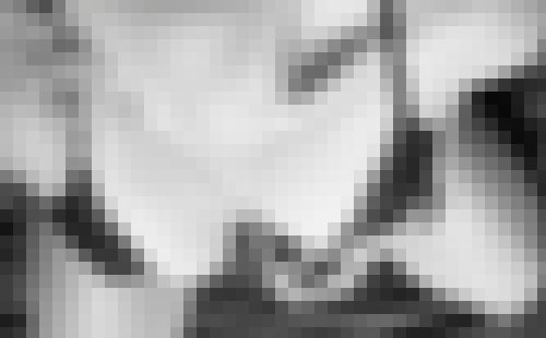 Foto de Tijo75 en Décolleté coquin