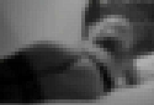 Photo from Tijo75 into La nuit