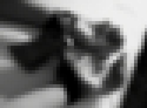 Photo from Tijo75 into les préparatifs ...