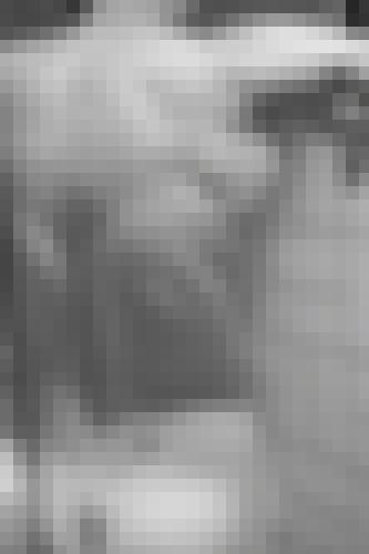 Photo from Tijo76 into Dans la salle de bain