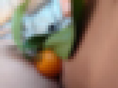 Photo from Audacieuse into Photo risquée