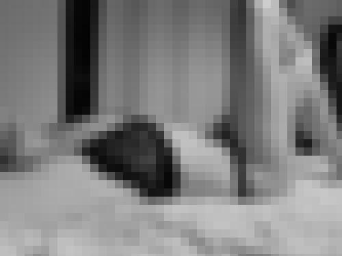 Foto de Audacieuse en Abierto a todos