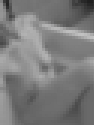 Foto de Audacieuse en Abierto a todos