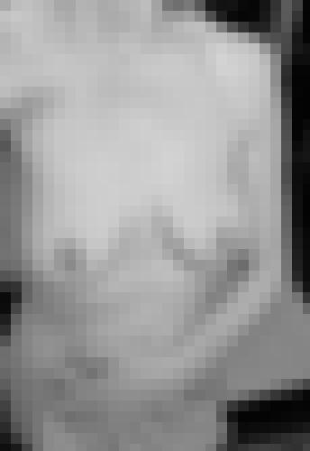 Foto de Audacieuse en Abierto a todos