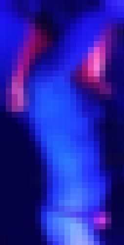 Photo from Sod-Dom into Pop / couleurs
