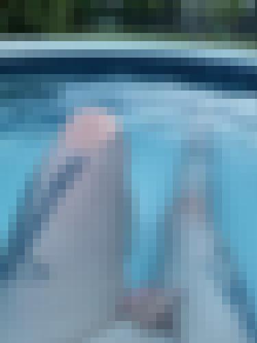 Photo from Indian into A la piscine