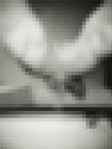 Foto de Indian en Abierto a todos