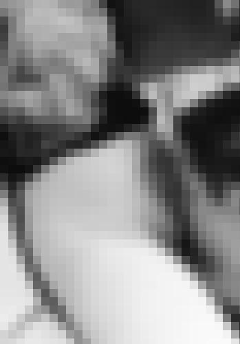 Foto de Alambic en Avec ma langue je ...