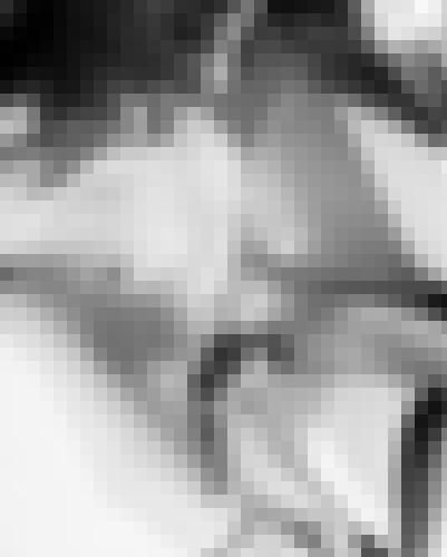 Photo from Canopus into Dans mon bain